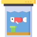 animals,pet,bowl,fish,fish bowl,fish tank,goldfish